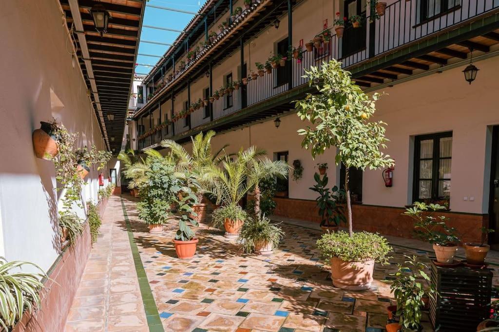 Apartamento Con Encanto En Patio Sevillano Екстериор снимка